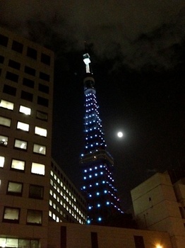 20130920 tokyo tower.jpg