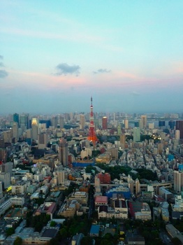 東京タワー　ヒルズ.jpg