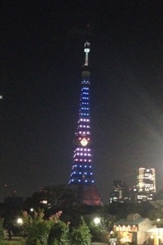 tokyo tower blue.jpg